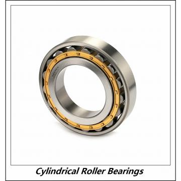 0.984 Inch | 25 Millimeter x 2.047 Inch | 52 Millimeter x 0.591 Inch | 15 Millimeter  CONSOLIDATED BEARING NJ-205E C/3  Cylindrical Roller Bearings