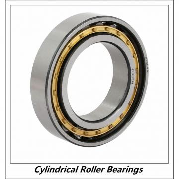 0.669 Inch | 17 Millimeter x 1.85 Inch | 47 Millimeter x 0.551 Inch | 14 Millimeter  CONSOLIDATED BEARING NU-303E M  Cylindrical Roller Bearings