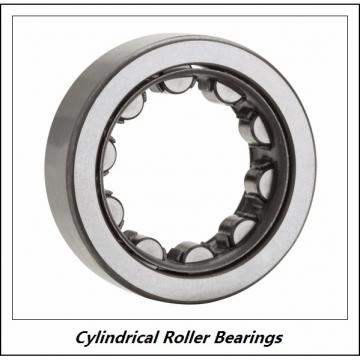0.984 Inch | 25 Millimeter x 2.047 Inch | 52 Millimeter x 0.591 Inch | 15 Millimeter  CONSOLIDATED BEARING NJ-205E C/3  Cylindrical Roller Bearings