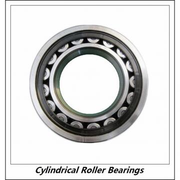 0.591 Inch | 15 Millimeter x 1.378 Inch | 35 Millimeter x 0.433 Inch | 11 Millimeter  CONSOLIDATED BEARING NJ-202 M  Cylindrical Roller Bearings