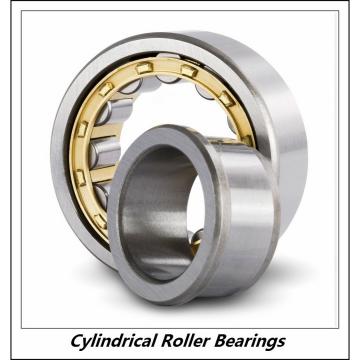 8.661 Inch | 220 Millimeter x 15.748 Inch | 400 Millimeter x 2.559 Inch | 65 Millimeter  CONSOLIDATED BEARING NU-244E M C/3  Cylindrical Roller Bearings