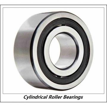 0.669 Inch | 17 Millimeter x 1.85 Inch | 47 Millimeter x 0.551 Inch | 14 Millimeter  CONSOLIDATED BEARING NU-303E C/3  Cylindrical Roller Bearings